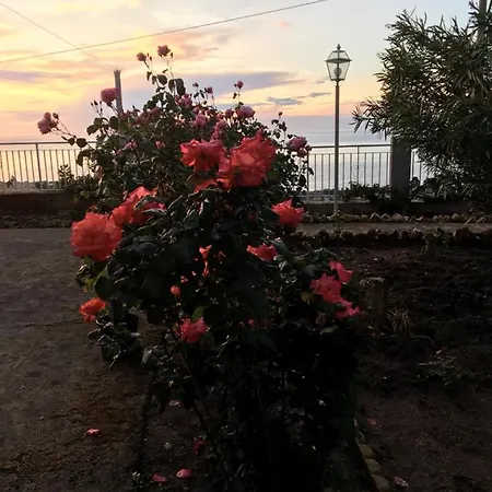 Balconcino Degli Innamorati Tropea Affittacamere