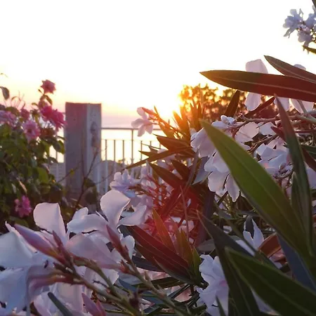 Balconcino Degli Innamorati Tropea 4* 산타도메니카